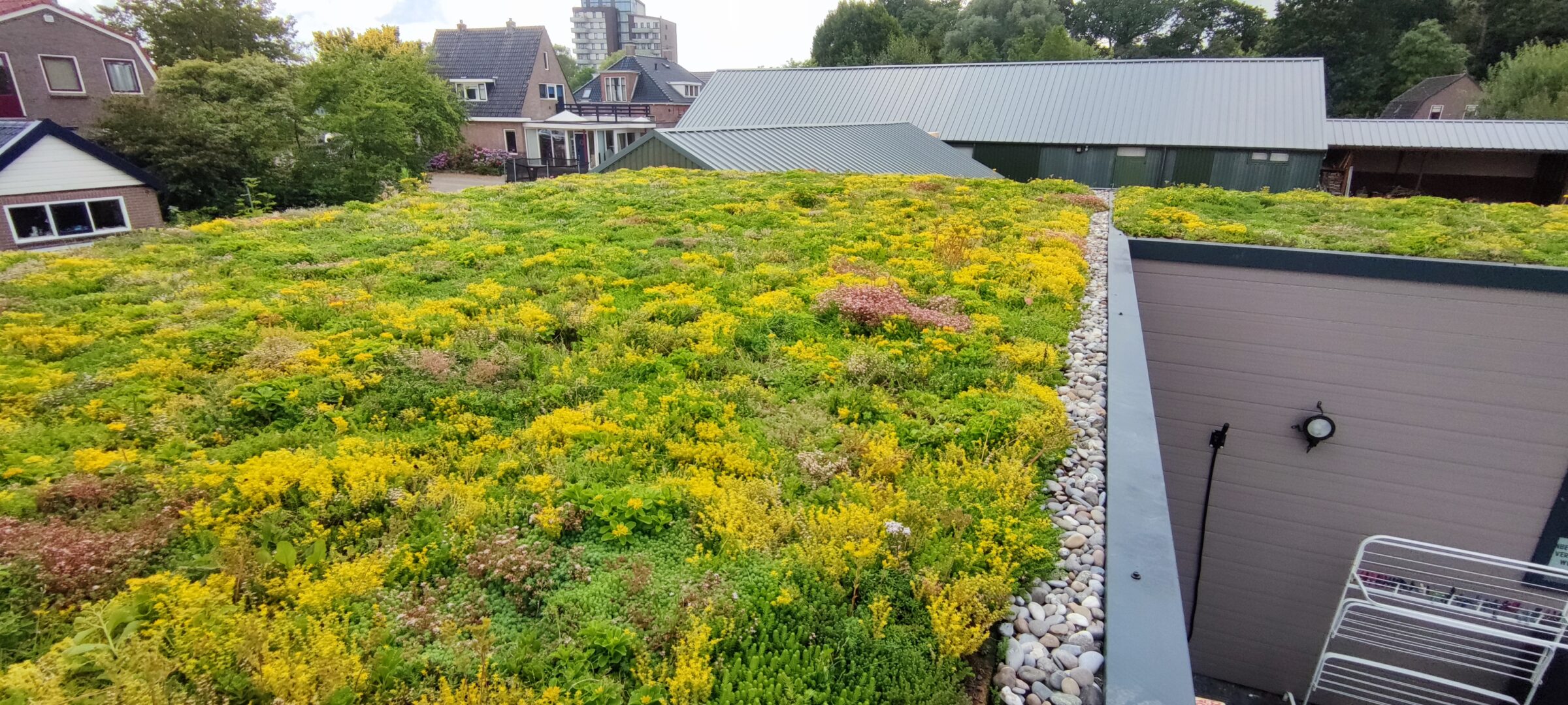 Foto van een waterbufferend groendak met een grindrand.